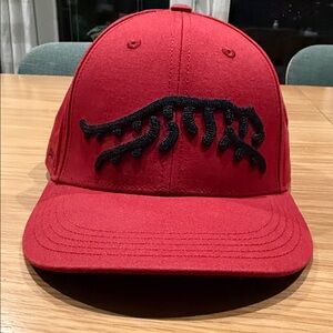 Sun Day Red Tiger Woods hat